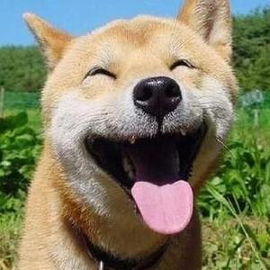 少女BBBBBBBBBB∧V色
