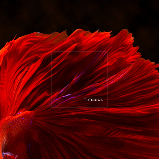 少女BBBBBBBBBB∧V色
